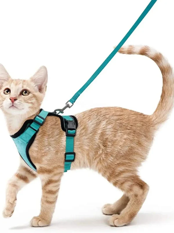 Cat Harness and Leash for Walking, Escape Proof Soft Adjustable Vest Harnesses for Cats, EasyControl - Image 16