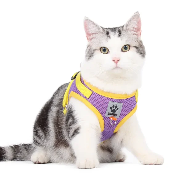 Cat Harness with Leash Set Breathable Summer Mesh Cats Dogs Harness Vest Reflective Pet Cat Chest Straps Kitten Small Dog - Image 6