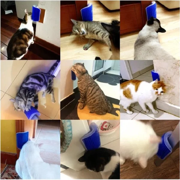 Cat Scratcher Massager for Cats Scratching Pets Brush Remove Hair Comb Grooming Table Dogs Kitten Care Royal Canin Accessories - Image 2