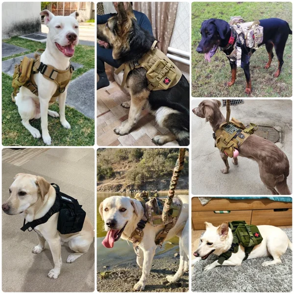Large Dog Harness Collar Leash Set Military Dog Harnesses Pet Tactical Vest Training German Shepherd For Medium Large Dogs - Image 6