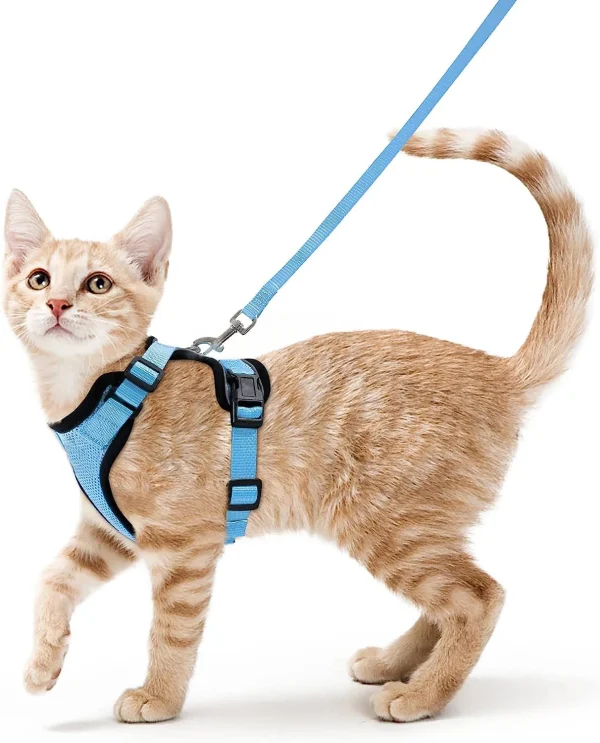 Cat Harness and Leash for Walking, Escape Proof Soft Adjustable Vest Harnesses for Cats, EasyControl - Image 12
