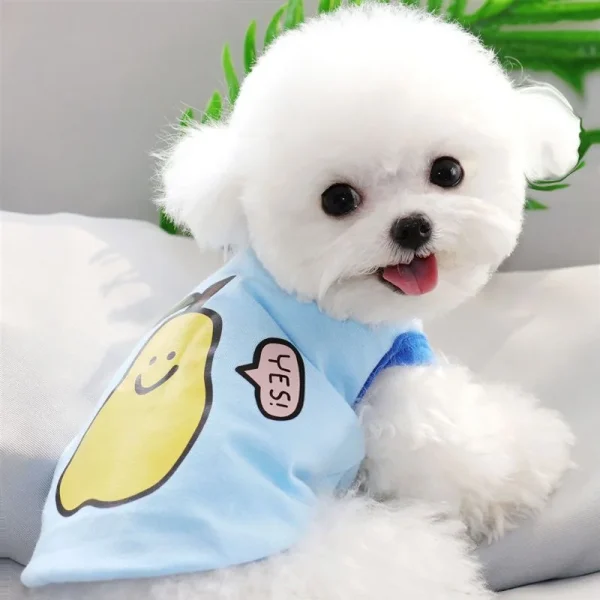 Sweet Fruit Puppy Dog  Sleeveless Clothes Summer Pet Vest for Small Dogs Yorkshire Schnauzer Beagle Cat Shirts mascotas Clothing - Image 3