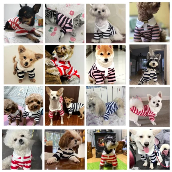 Summer Polo Shirt for Dogs Puppy Clothes Bichon Frise Chihuahua Stripe Dog Sweatshirt Dog Cooling Vest for Small and Medium Dogs - Image 2