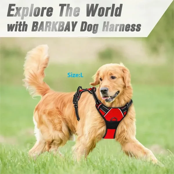Dog Collars Harness Big Vests Leash Pet Shop Everything for Dogs Leather Puppy Accessories Medium Small Set - Image 3