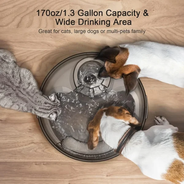 NPET DF10 Dog Water Fountain, 170oz/1.3Gallon/5L Large Automatic Pet Water Dispenser Dog Water Bowl for Cat, Dogs, Multiple Pets - Image 2