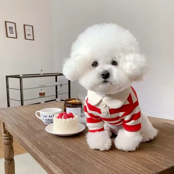 Summer Polo Shirt for Dogs Puppy Clothes Bichon Frise Chihuahua Stripe Dog Sweatshirt Dog Cooling Vest for Small and Medium Dogs - Image 5