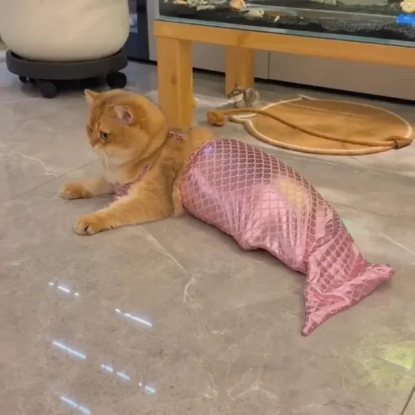 Pet Cat Mermaid Pet Costume Dog Dresses Funny Swimsuit Fish Tail Design Cute Bikini Dog Summer Pet Halloween Clothing - Image 6