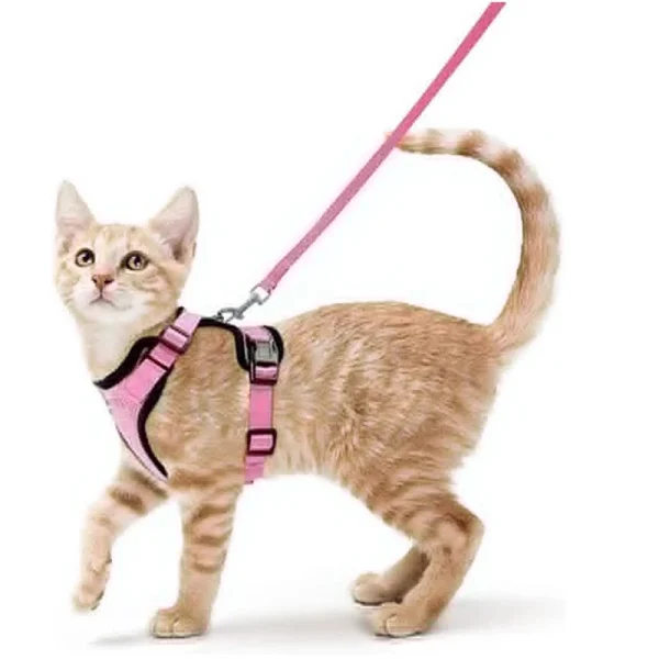 Cat Harness and Leash for Walking, Escape Proof Soft Adjustable Vest Harnesses for Cats, EasyControl - Image 14