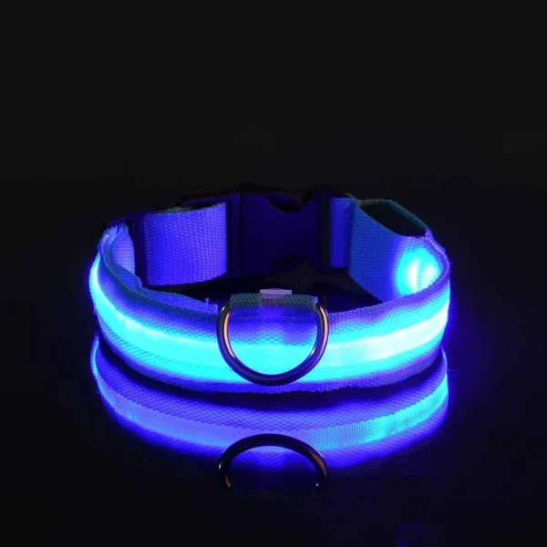 Dog Collar Nylon LED Night Safety Flashing Glow In The Dark Pet Dog Leash pet Dogs Luminous Fluorescent  dog accessories collar - Image 9