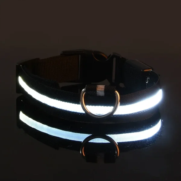 Dog Collar Nylon LED Night Safety Flashing Glow In The Dark Pet Dog Leash pet Dogs Luminous Fluorescent  dog accessories collar - Image 11