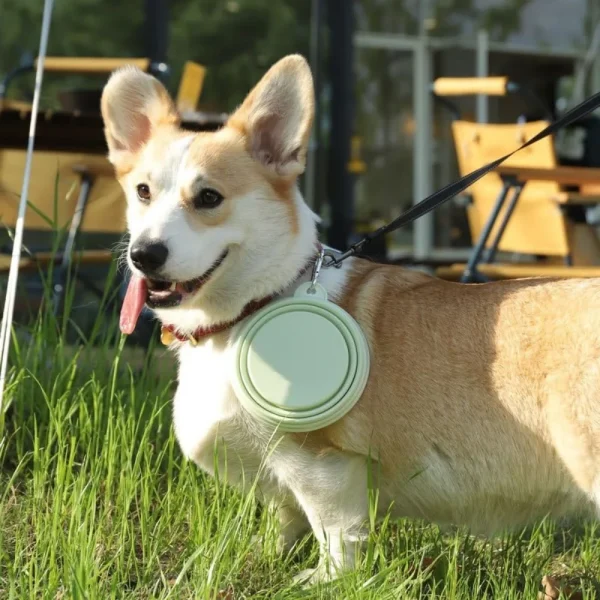 2pcs Collapsible Pet Silicone Dog Food Water Bowl Outdoor Camping Travel Portable Folding Supplies Dishes with Carabiner - Image 5