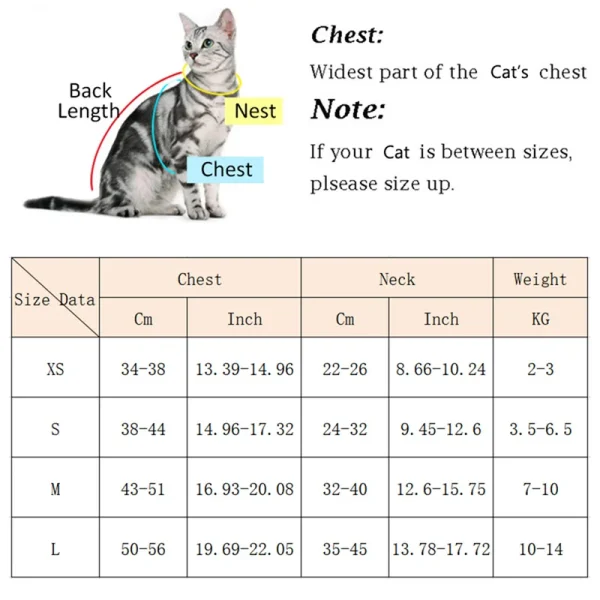 Cat Puppy Outdoor Walking Supplies Fashion Pet Harness and Leash Set for Small Dogs Cats Breathable Durable Kitten Harnesses - Image 2