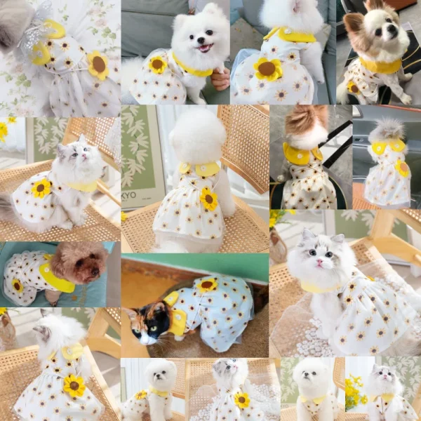 Dog Princess Dress Cute Pet Dog Mesh Dress Kitten Puppy Pet Skirt Summer Dog Dress Bow Lace Korean Poodle Chihuahua Dog Clothes - Image 2