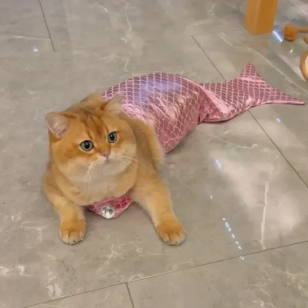 Pet Cat Mermaid Pet Costume Dog Dresses Funny Swimsuit Fish Tail Design Cute Bikini Dog Summer Pet Halloween Clothing - Image 2
