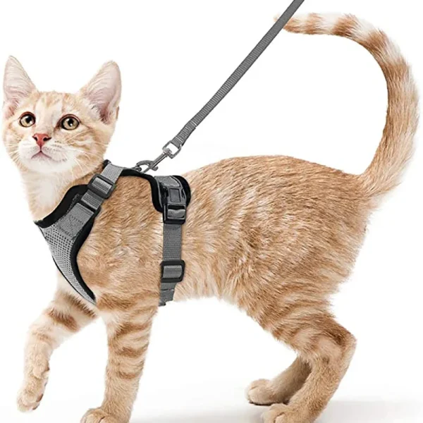 Cat Harness and Leash for Walking, Escape Proof Soft Adjustable Vest Harnesses for Cats, EasyControl - Image 8