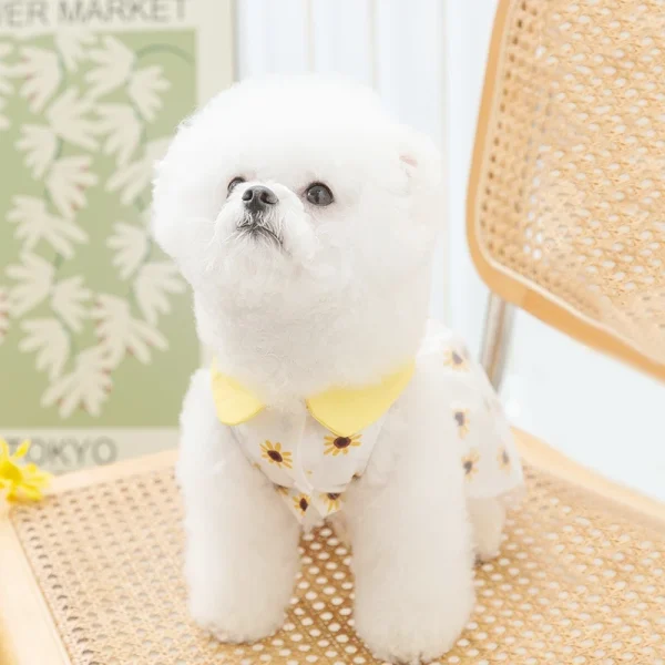 Dog Princess Dress Cute Pet Dog Mesh Dress Kitten Puppy Pet Skirt Summer Dog Dress Bow Lace Korean Poodle Chihuahua Dog Clothes - Image 5