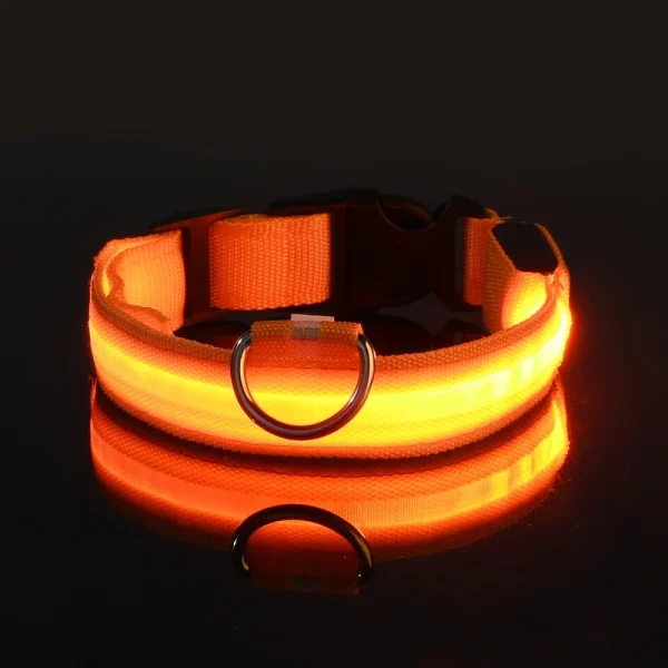 Dog Collar Nylon LED Night Safety Flashing Glow In The Dark Pet Dog Leash pet Dogs Luminous Fluorescent  dog accessories collar - Image 7