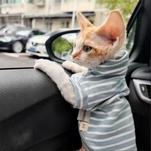 Soft pet T-shirt for Sphynx Cat Clothing in Spring Warm Fleece Striped Jumpsuit for Kittens Dogs short sleeves Shirt Devon Rex