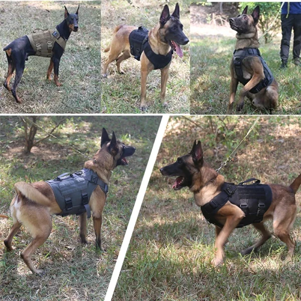 Tactical Military Vest Pet German Shepherd Golden Retriever Tactical  Training Dog Harness and Leash Set For All Breeds Dogs - Image 5