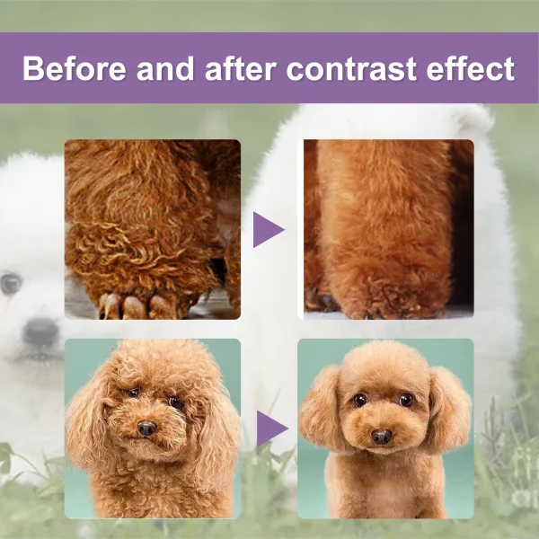 Pet Hair Conditioner Hair Softening Prevent Hair Knots Bathless Clean Odor Removal Moisturizing Cat Anti Mite Ticks Dog Shampoo - Image 4