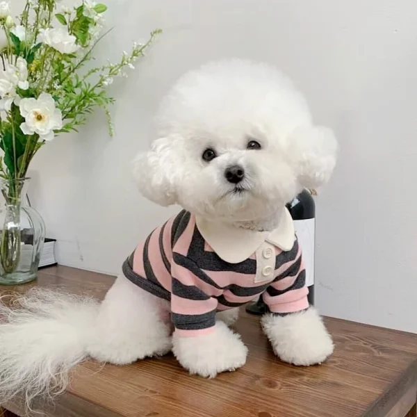 Summer Polo Shirt for Dogs Puppy Clothes Bichon Frise Chihuahua Stripe Dog Sweatshirt Dog Cooling Vest for Small and Medium Dogs - Image 4