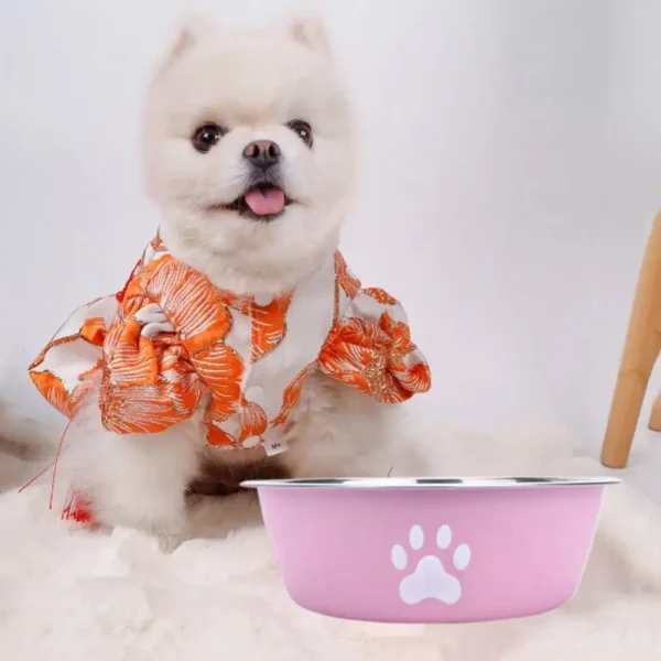 Large Capacity Stainless Steel Dog Bowl Non-slip Bilayer Dog Water Bowl Pet Feeders Cat Paw Pattern Cat Feeding Bowl Home - Image 6