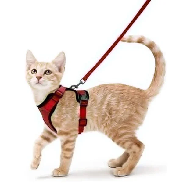Cat Harness and Leash for Walking, Escape Proof Soft Adjustable Vest Harnesses for Cats, EasyControl - Image 10