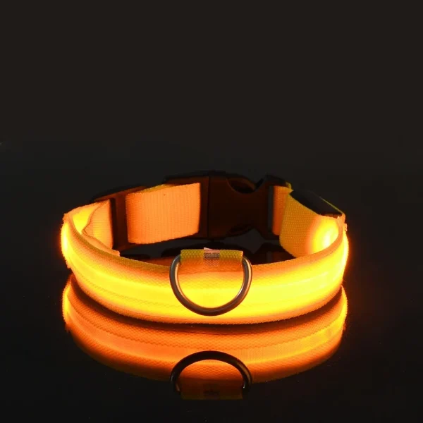 Dog Collar Nylon LED Night Safety Flashing Glow In The Dark Pet Dog Leash pet Dogs Luminous Fluorescent  dog accessories collar - Image 8