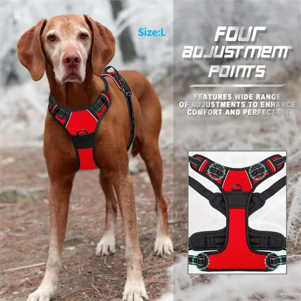 Dog Collars Harness Big Vests Leash Pet Shop Everything for Dogs Leather Puppy Accessories Medium Small Set - Image 2