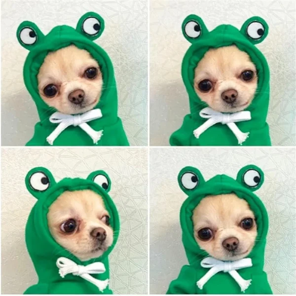 Pet hoodie Dogs clothes bulldog frances apparels for small dog costume coat jackets apparel winter ropa para perros accessories - Image 5