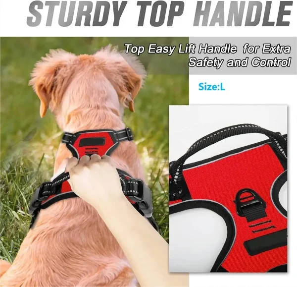 Dog Collars Harness Big Vests Leash Pet Shop Everything for Dogs Leather Puppy Accessories Medium Small Set - Image 4