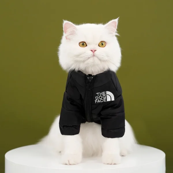 Winter Warm Cat Jacket for Medium Small Cats Cotton French Bulldog Dogs Winter Clothes Windproof Coat Puppy Pet Outfits - Image 7